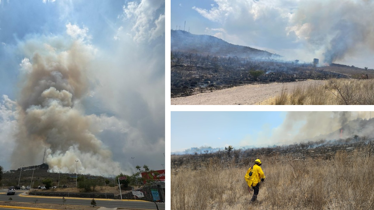 Durante la tarde de este jueves 6 de junio, se registró un incendio de pastizal en el Cerro Gordo de León, en el estado de Guanajuato.