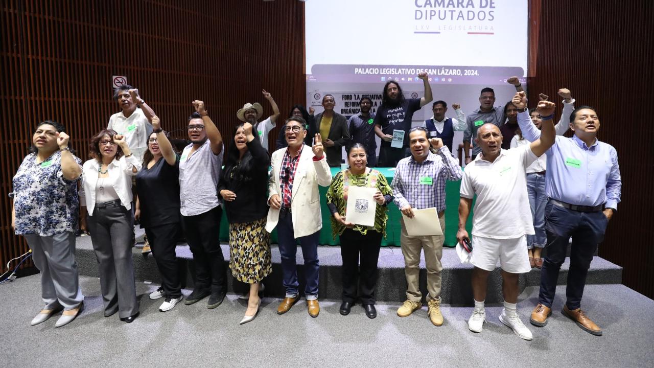 Un grupo de profesores entregó este miércoles en la Cámara de Diputados una propuesta para reformar la ley orgánica de la UNAM