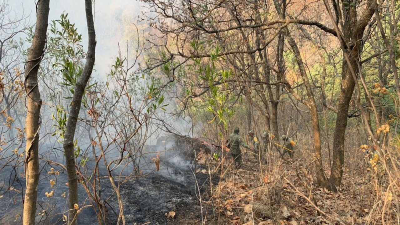 Herramienta. Además de las brigadistas, realizan sobrevuelo con dron para detectar las zonas de calor en la zona alta de Cuernavaca.