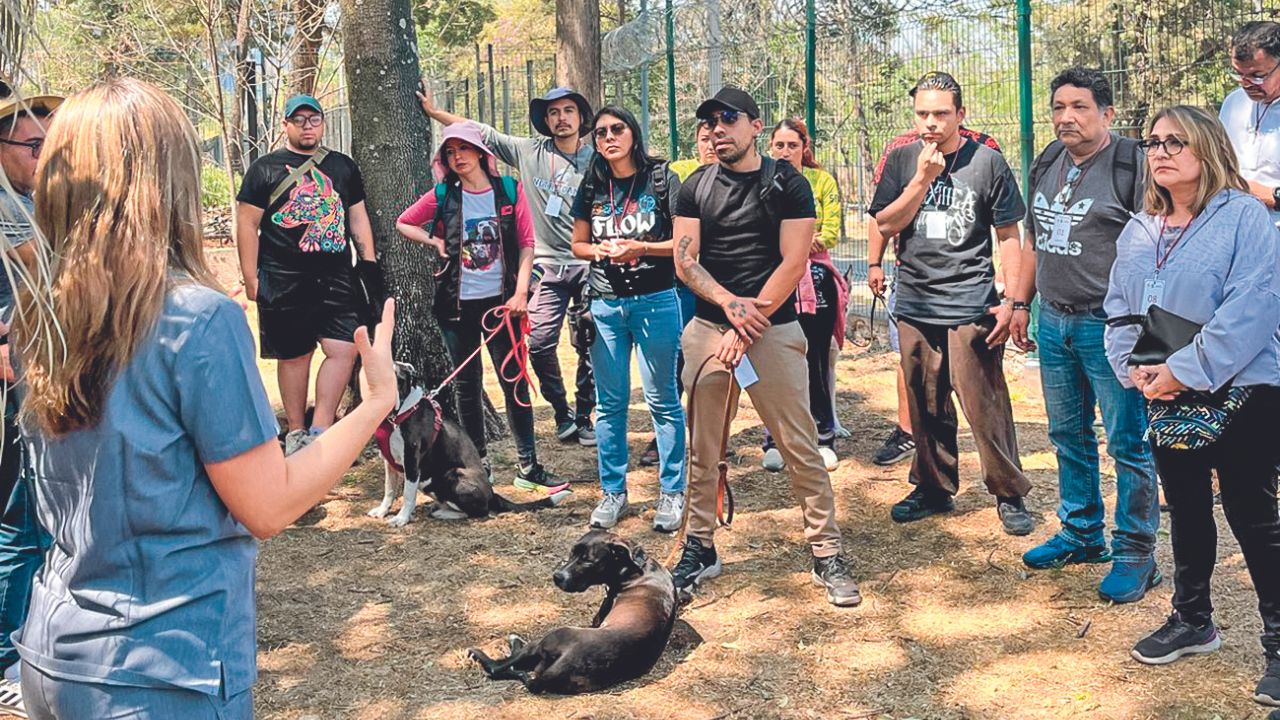 Requisito. El paseo de un animal de compañía requiere de conocimientos específicos, por lo que Agatan brinda capacitaciones.