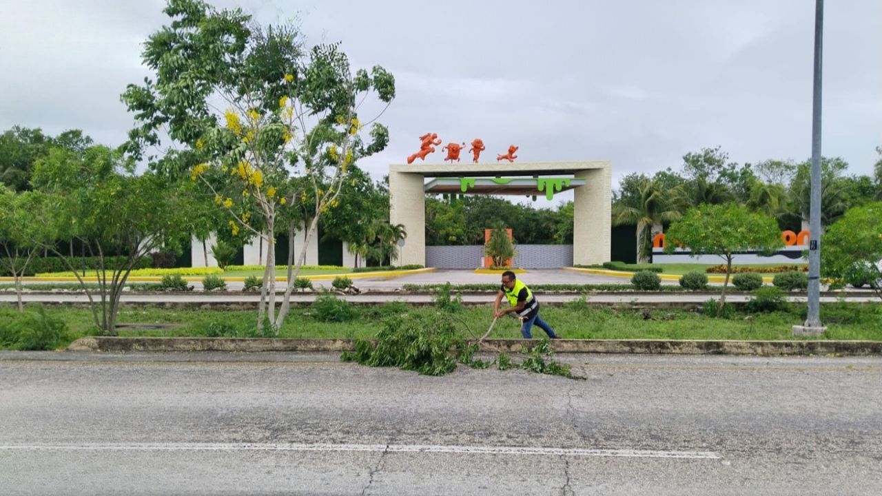 SICT reporta 133 incidentes en carreteras y caminos por Beryl