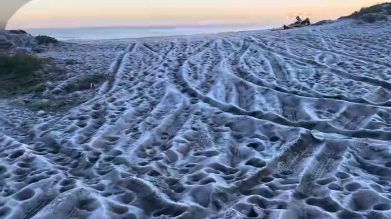 Frío extremo en Chile: por las bajas temperaturas se congeló la arena de playa Mariscadero