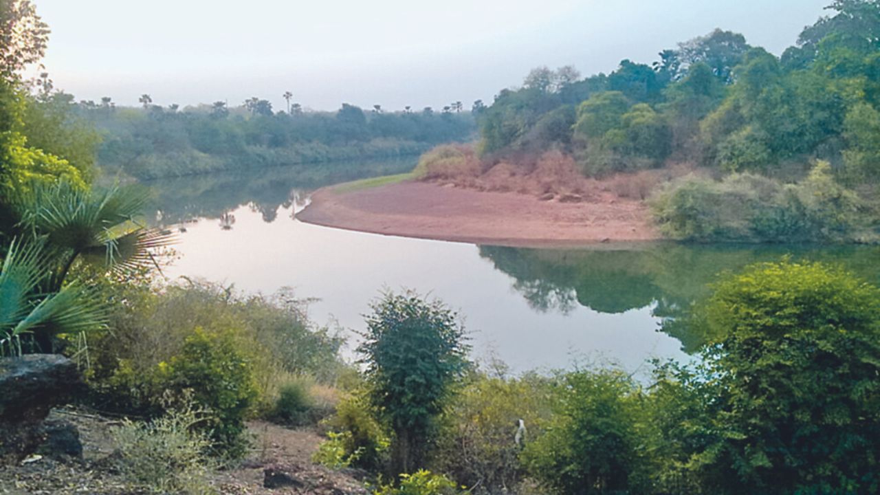 La Unesco excluye al mayor parque natural de Senegal de su lista de patrimonio en peligro