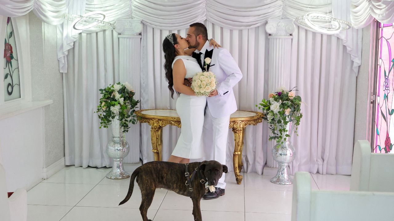 Rol inesperado. Varios estados permiten la inclusión de mascotas en bodas, reflejo de un cambio cultural.