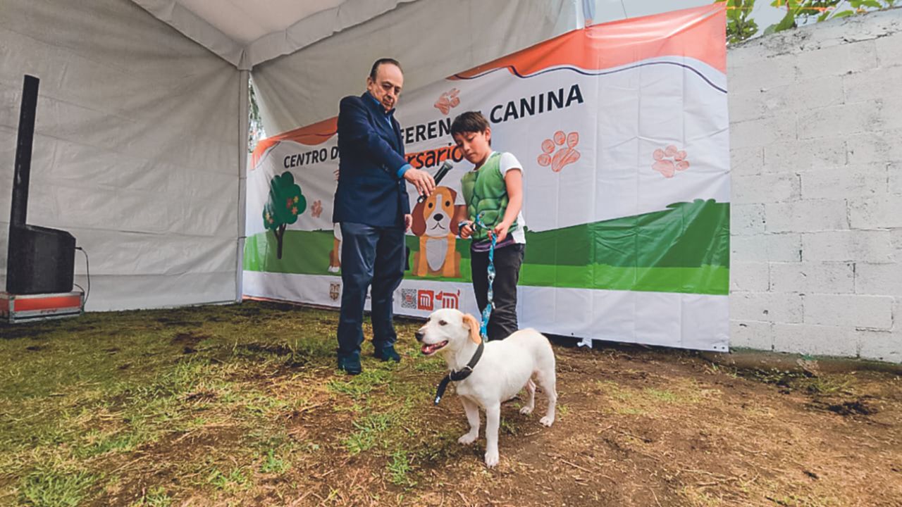 Ayuda. Los canes encontrados en las instalaciones del STC, son llevados a un centro de transferencia donde son atendidos y puestos en adopción.