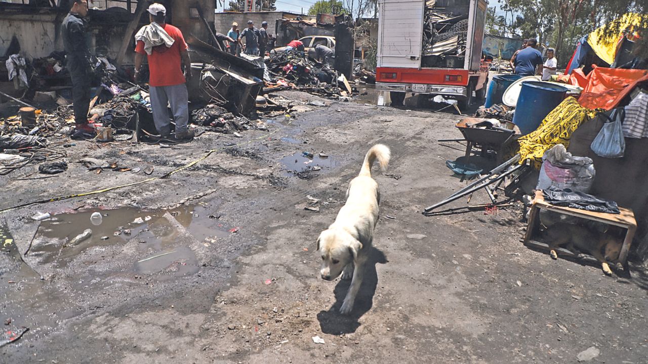 Daños. A menos de 24 horas del siniestro, habitantes de la colonia Ciudad Lago tratan de rescatar algo de sus pertenencias, así como a sus animales de compañía.