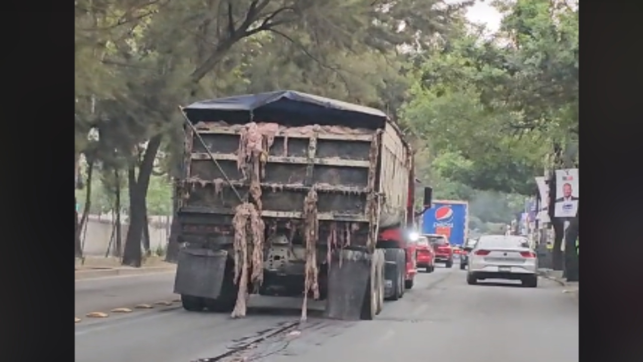 Foto: @thebestlml/ Camión con viseras de animal, desborda y deja rastro de su paso por calles de la CDMX