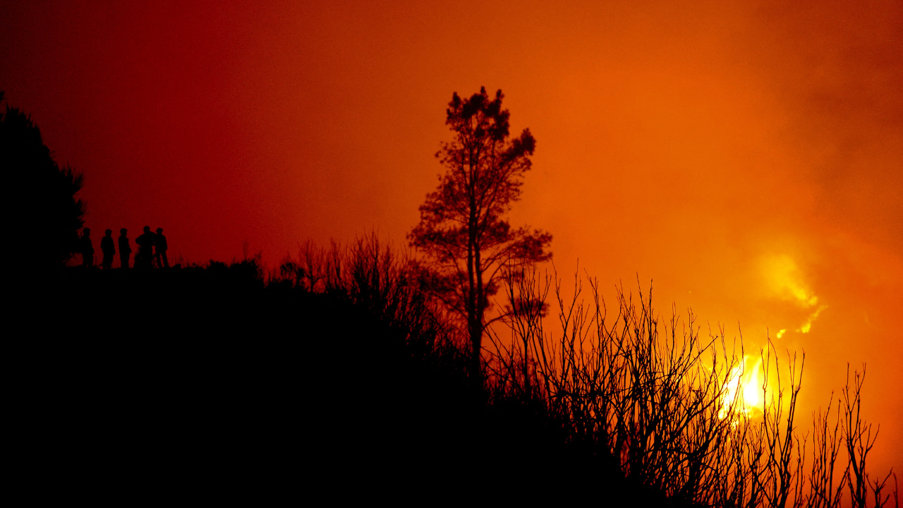 Incendio en Madeira devasta al menos cinco mil hectáreas de vegetación