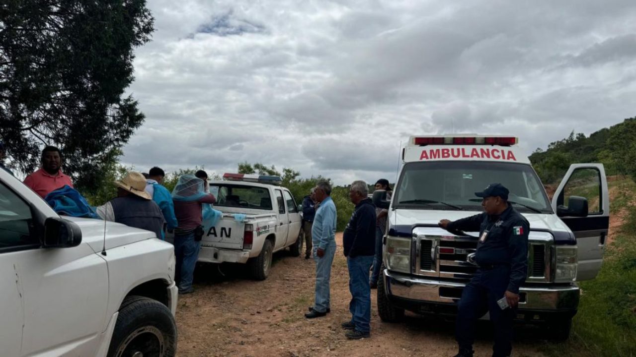 Ataca enjambre de abejas a comuneros en Oaxaca