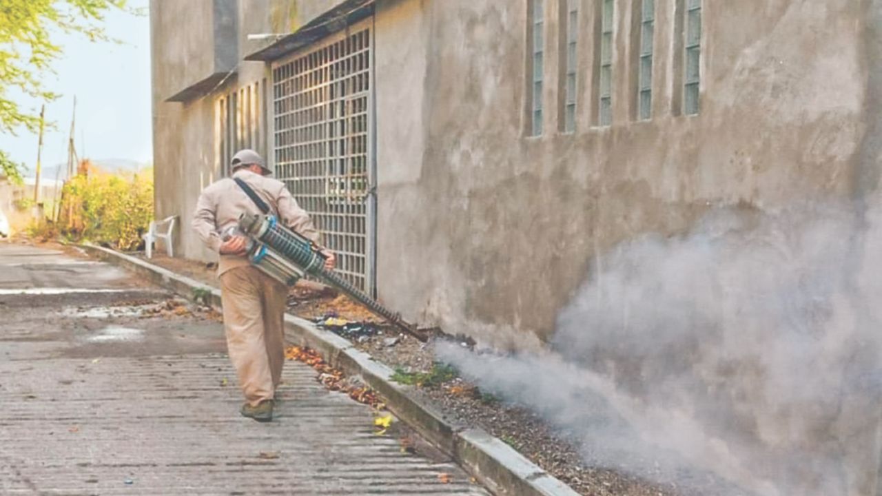 PRECAUCIÓN. Los estados realizan campañas de fumigación para evitar la proliferación de zancudos, transmisor del dengue.