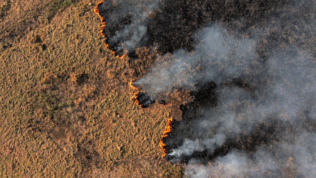 Un informe de World Weather Attribution revela que el cambio climático multiplicó por cinco la probabilidad de tales eventos. Este humedal, Patrimonio Natural de la Humanidad