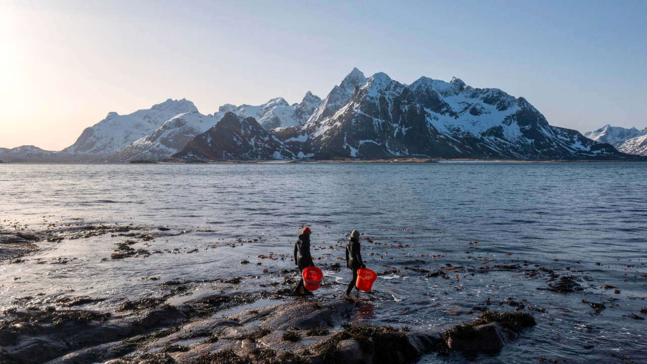 Noruega y Finlandia registran temperaturas récord durante el verano