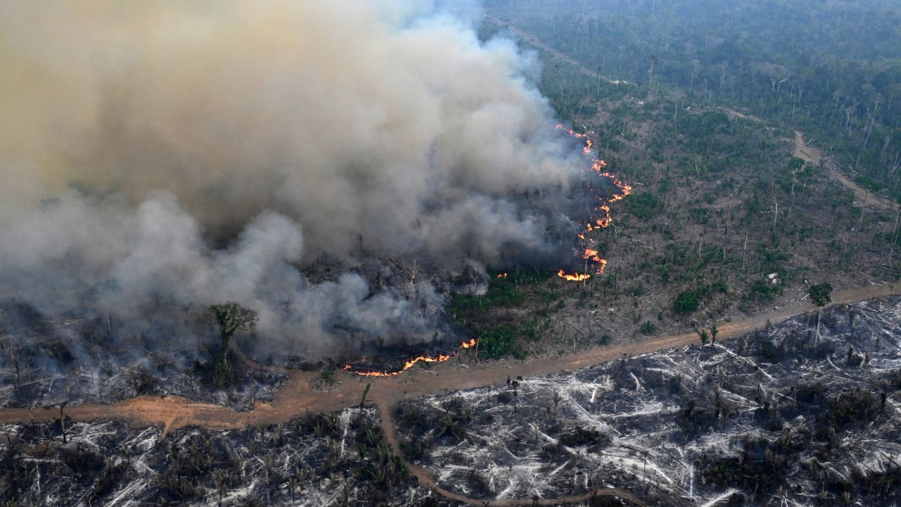 ACTIVIDAD HUMANA. Grandes extensiones de selva fueron transformadas en pastizales, mientras que otras áreas, en cráteres.