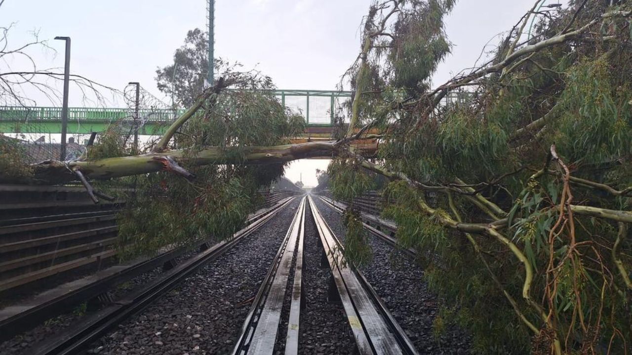 Impacto. La Línea B del Metro suspendió el servicio en 3 estaciones por el impacto de dos árboles.