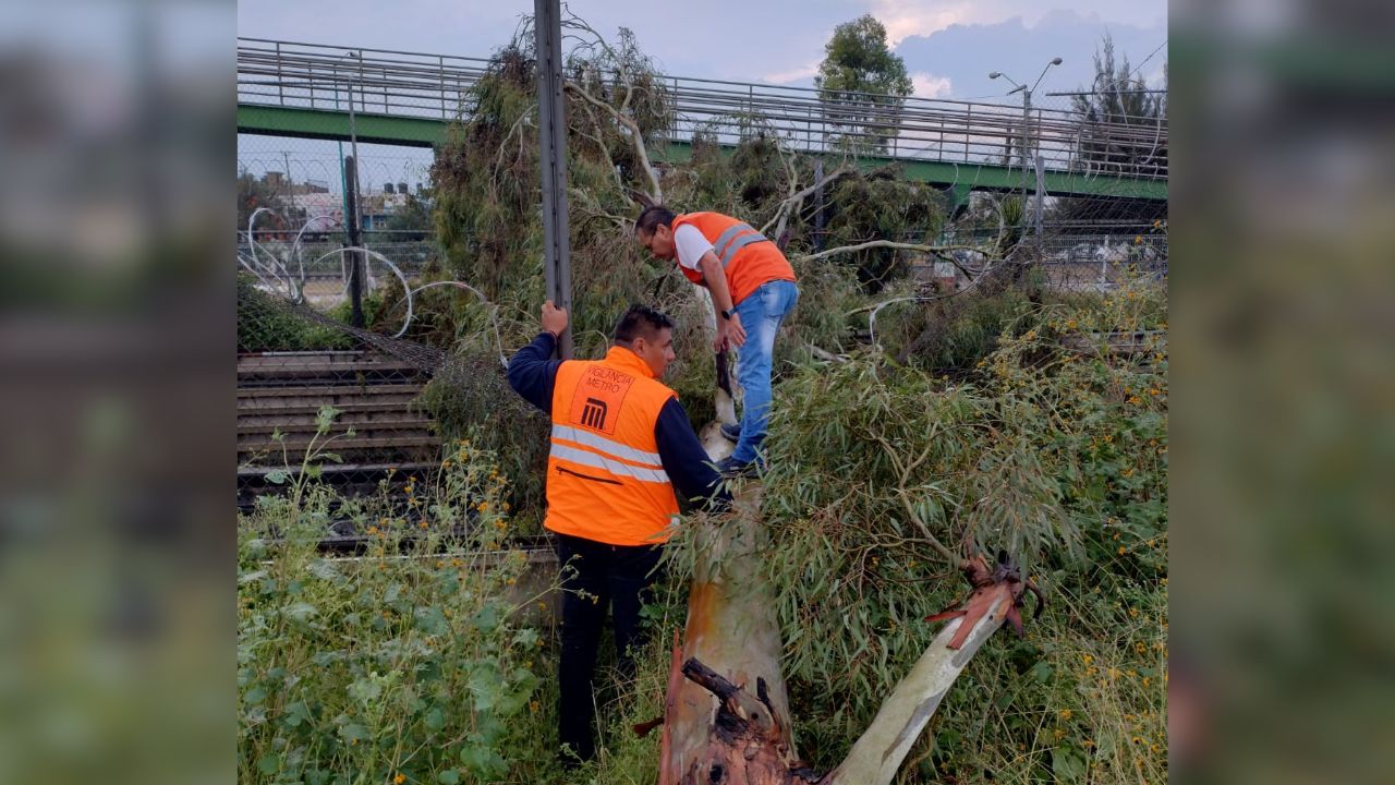 El servicio de la Línea B del Metro se vio interrumpido por al menos dos horas tras la caída de un árbol