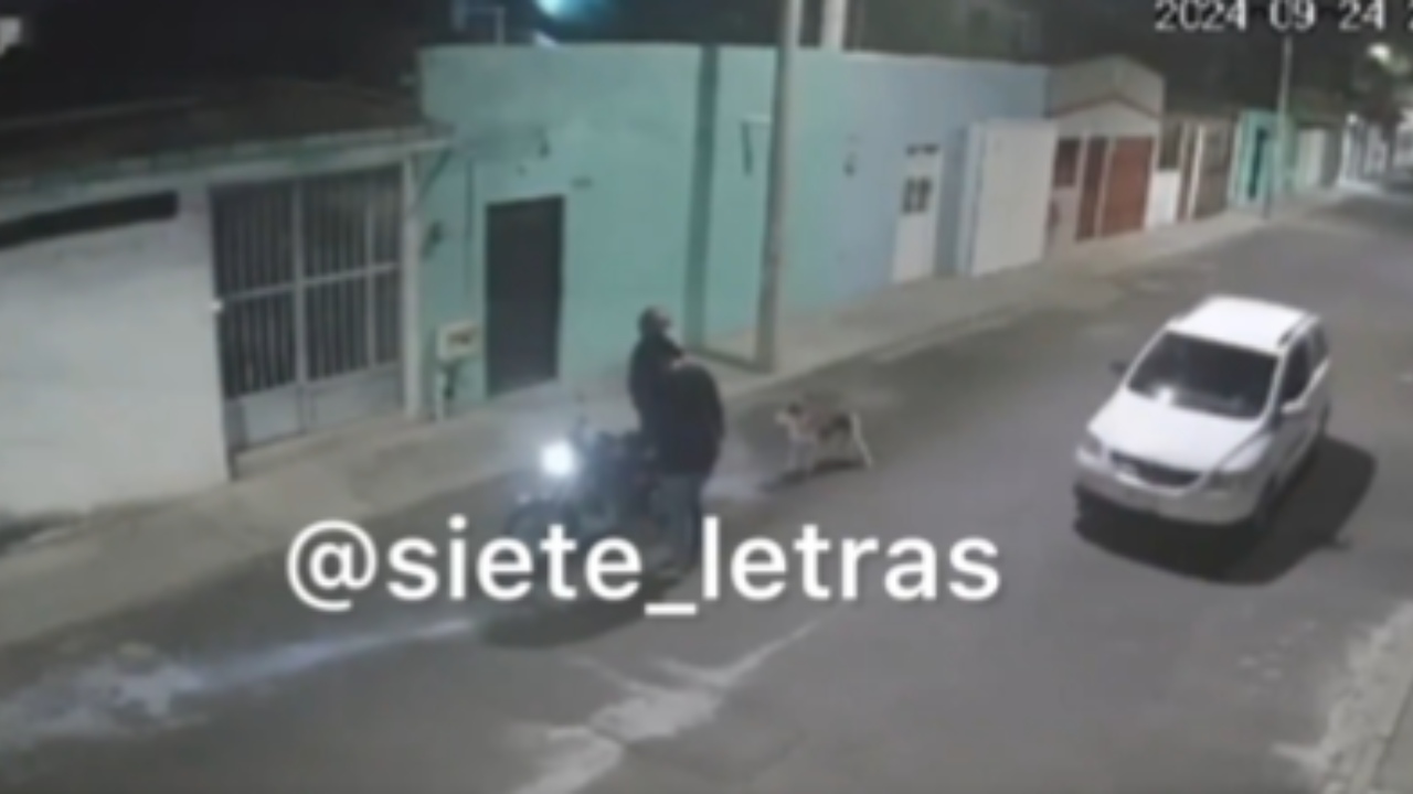 Una pareja fue captada arrastrando a un perrito, que estaba amarrado a una motocicleta, en calles de Querétaro.