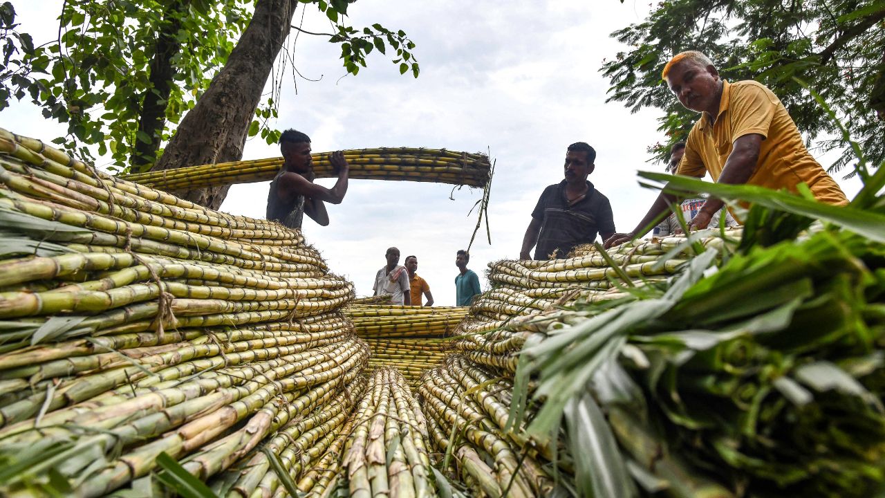 Los precios de los productos alimentarios en el mundo volvieron a aumentar en septiembre, por primera vez en 30 meses