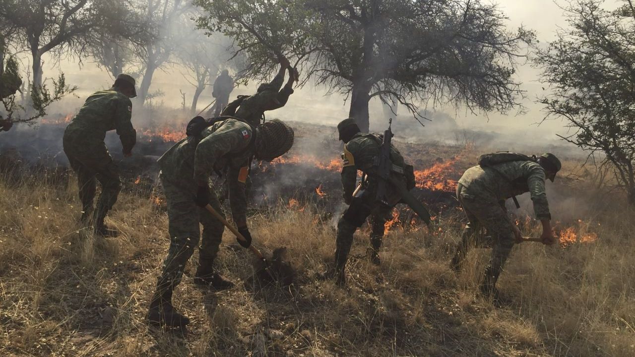 Labor. El Ejército y la Fuerza Aérea Mexicanos durante el combate de un incendio forestal registrado en Ricardo Flores Magón, Chihuahua en el 2019.