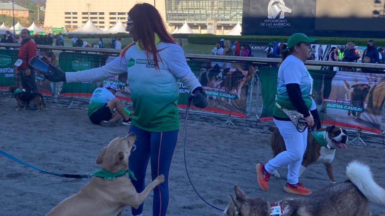 Titular de Agatan se suma a carrera por los perros sin hogar