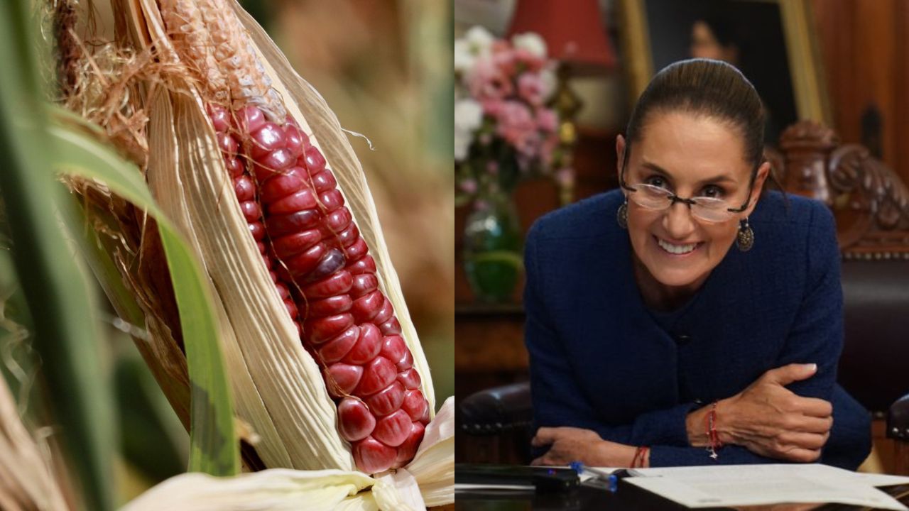 La mandataria resaltó que el T-MEC “genera grandes ventajas para los tres países".