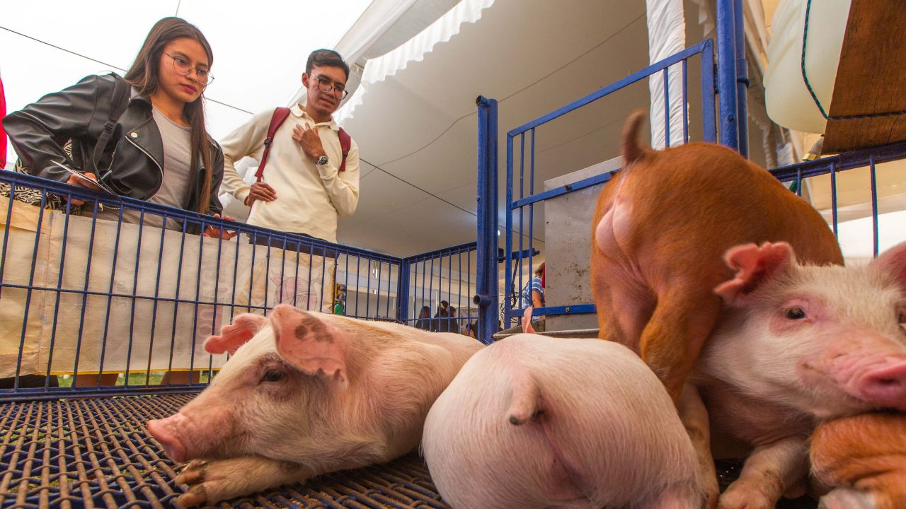 Presupuesto a universidades agropecuarias