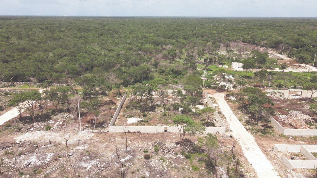 EVIDENCIA, Afectados mostraron pruebas del avance significativo en la construcción de calles, y que algunos lotes ya cuentan con medidores de luz.