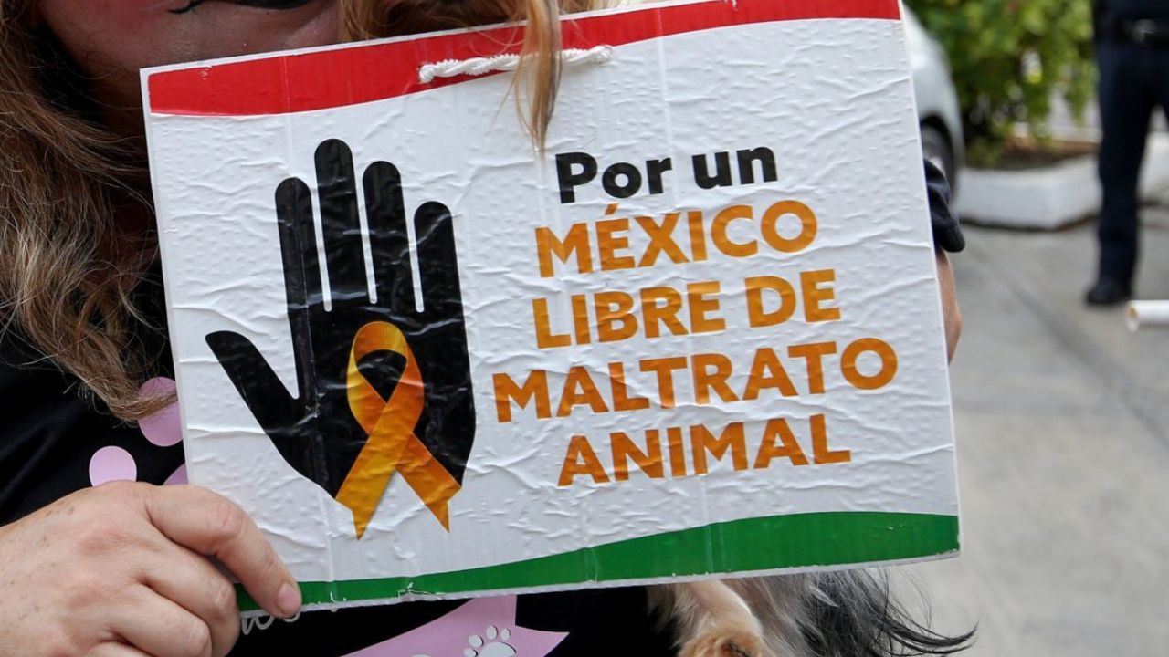 Marcha en CDMX en contra del maltrato animal.