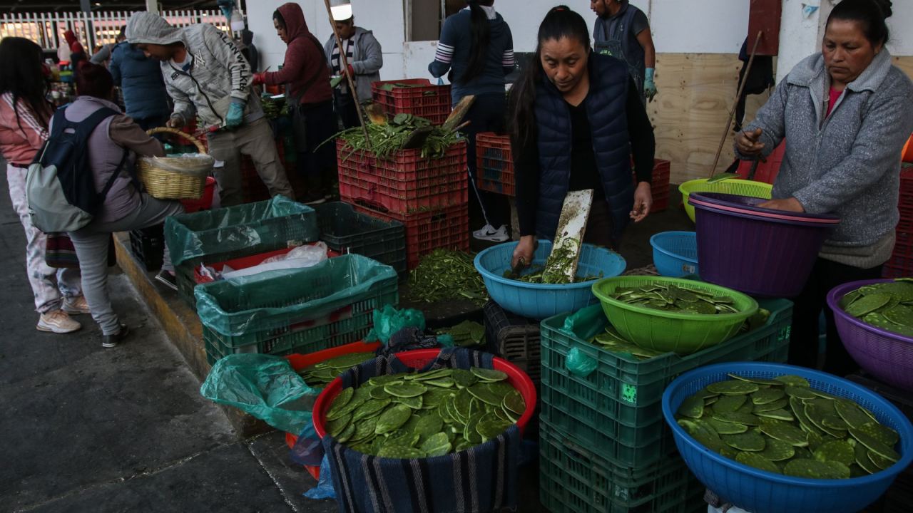 La pieza de nopales se vende hasta en 5 pesos tras la alza de precios por la inflación.