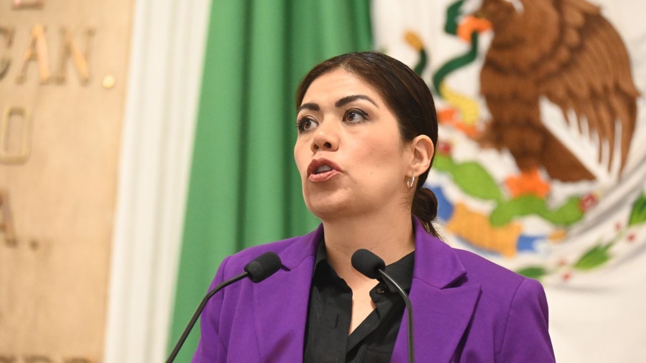 La iniciativa busca dar estatus legal y personalidad jurídica al no nacido: América Rangel, diputada local del PAN.