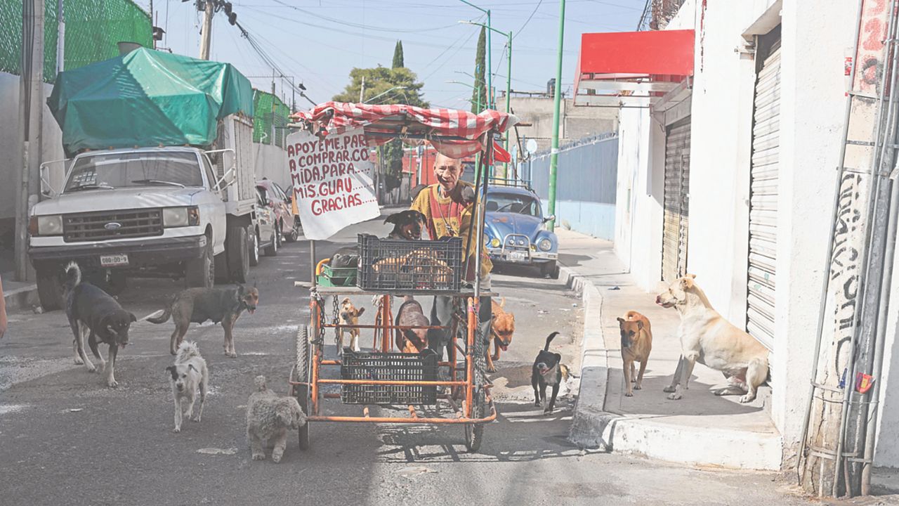 El cuidador de los perros enseñó a 24 HORAS cuál es la situación que vive para mantenerlos en su casa.