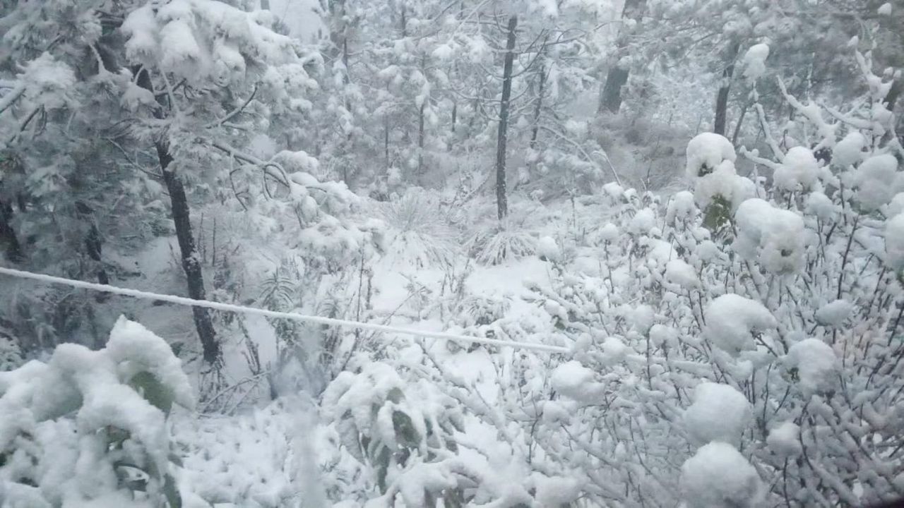 Habitantes y trabajadores de la zona reportaron la caída de nieve en el Cerro de Jocotitlán.