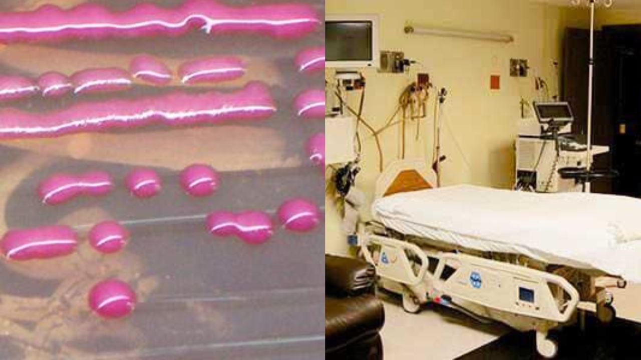 La bacteria Klebsilla Oxytoca ha encendido las alarmas en la población