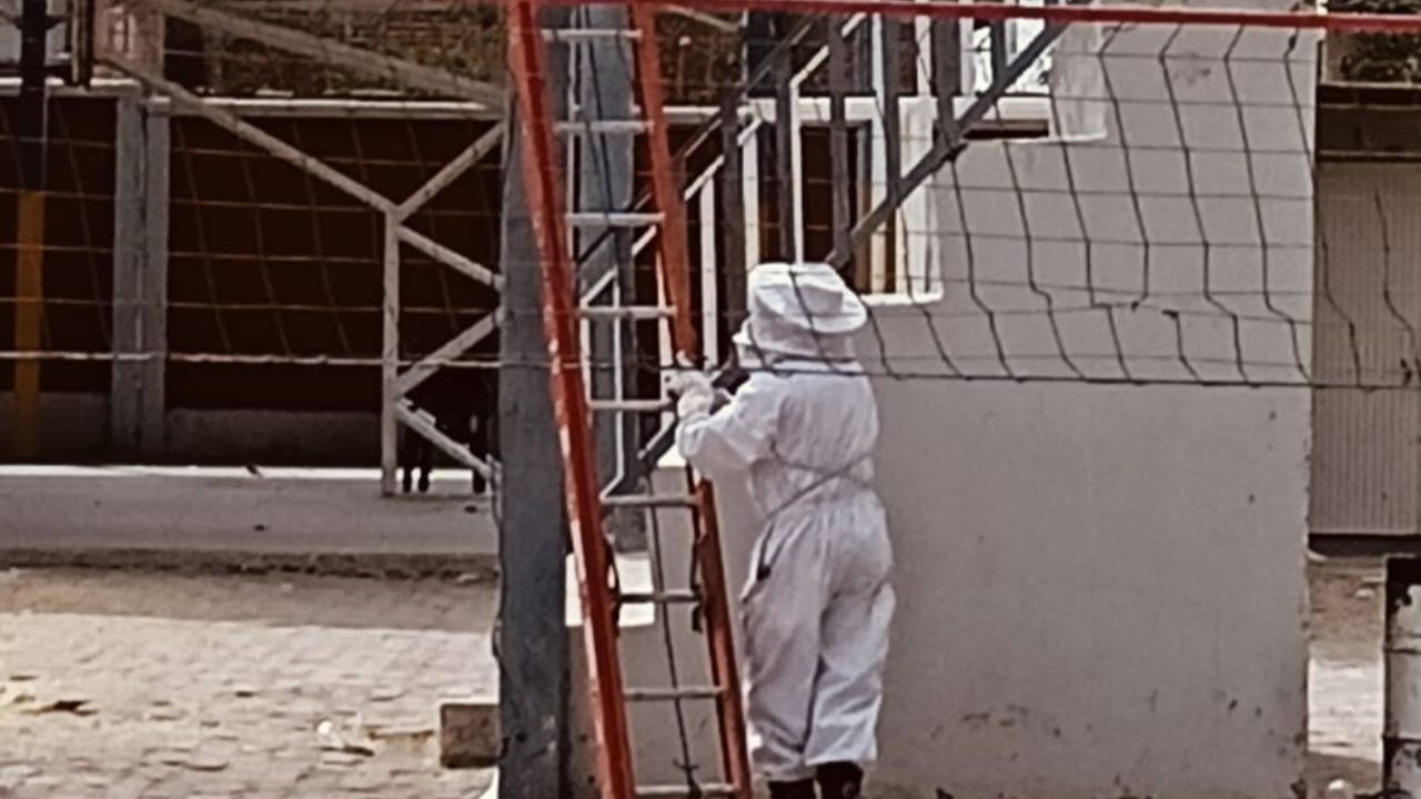 Alumnos y maestros de una secundaria en León fueron atacados por un enjambre de abejas mientras celebraban un festival navideño.