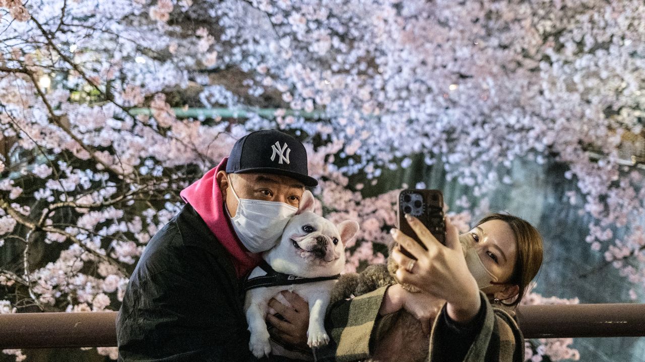 ALARMA. La tasa de natalidad en Japón alcanzó un mínimo histórico, lo que evidencia una crisis demográfica sin precedentes.