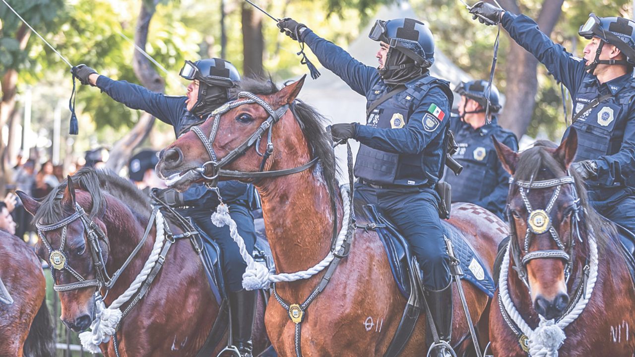 Como parte de la conmemoración del Día de la Policía participaron 2 mil 238 elementos en el desfile.