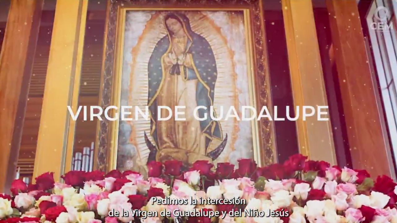 En un video de la Conferencia del Episcopado Mexicano, la iglesia repite su llamado a “una tregua de paz" y pide a la Virgen salvar al país.