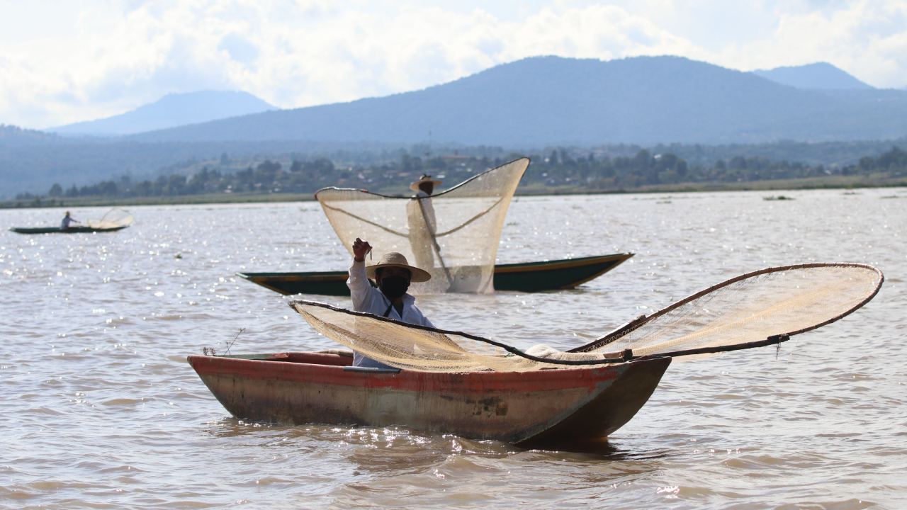 Inició la veda de pesca de la almeja catarina y lisa en territorio mexicano.