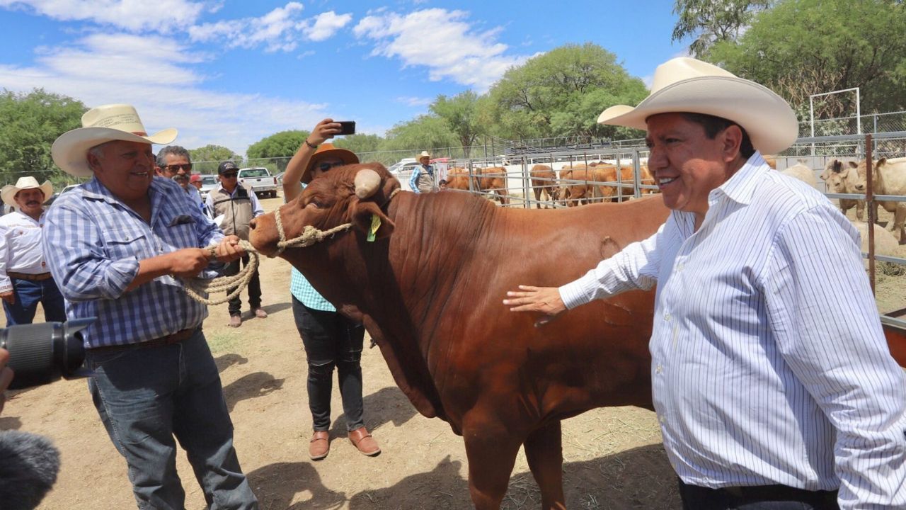 Julio Berdegue informó que se reanudó la exportación de ganado a Estados Unidos tras firma de acuerdo con su Departamento de Agricultura.