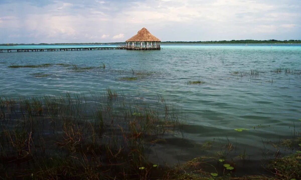 María Villarreal Sonora, investigadora experta en ecología, afirmó que se necesita volver a navegar en la laguna.