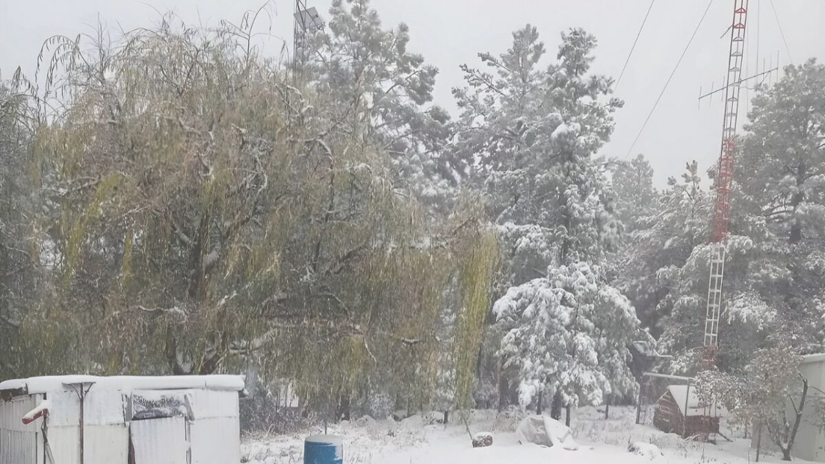 Estados de la frontera norte del país se enfrentan a nevadas ante el desarrollo de la tormenta invernal.