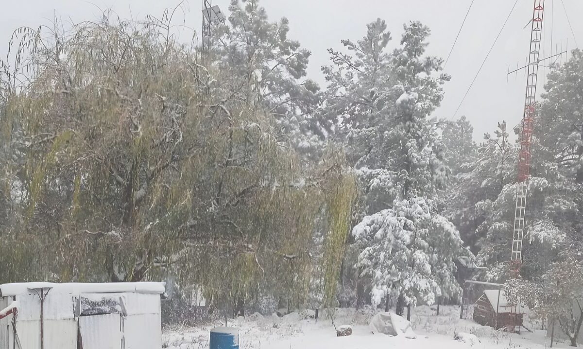 Estados de la frontera norte del país se enfrentan a nevadas ante el desarrollo de la tormenta invernal.