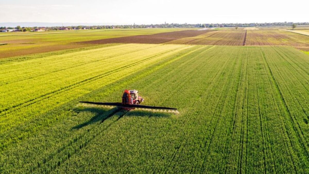 En el acumulado al mes de noviembre de 2024, el valor de las exportaciones agroalimentarias fue de 49 mil 368 millones de dólares.