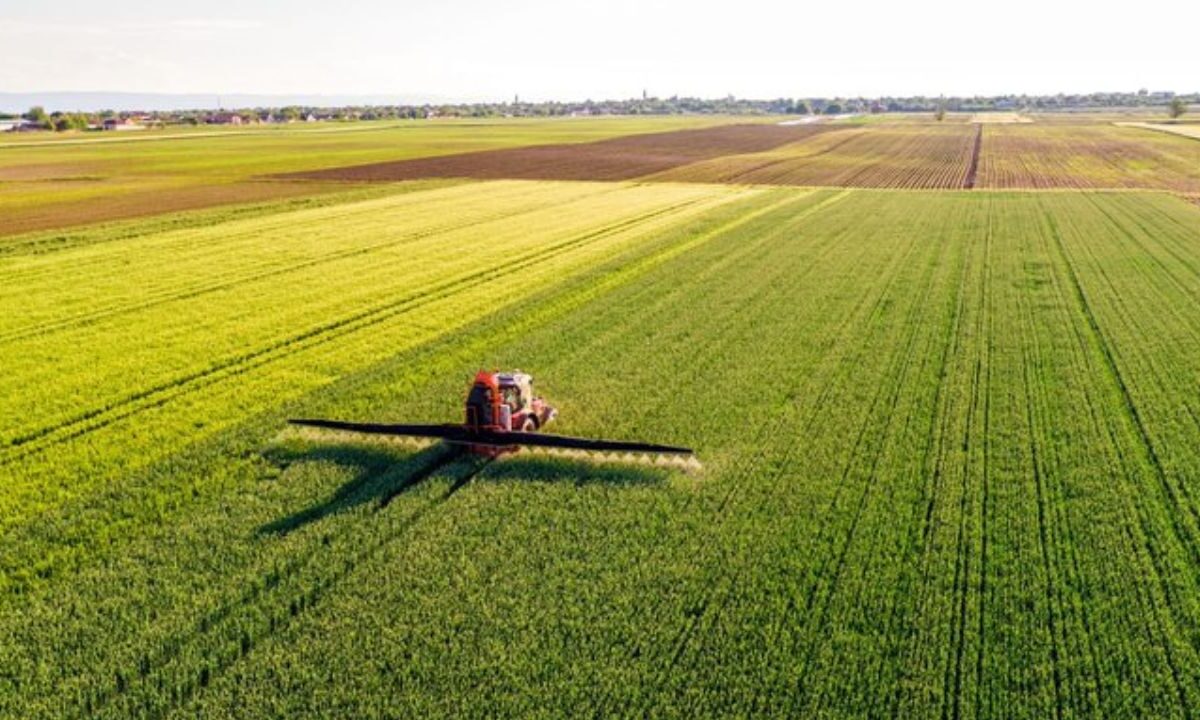 En el acumulado al mes de noviembre de 2024, el valor de las exportaciones agroalimentarias fue de 49 mil 368 millones de dólares.