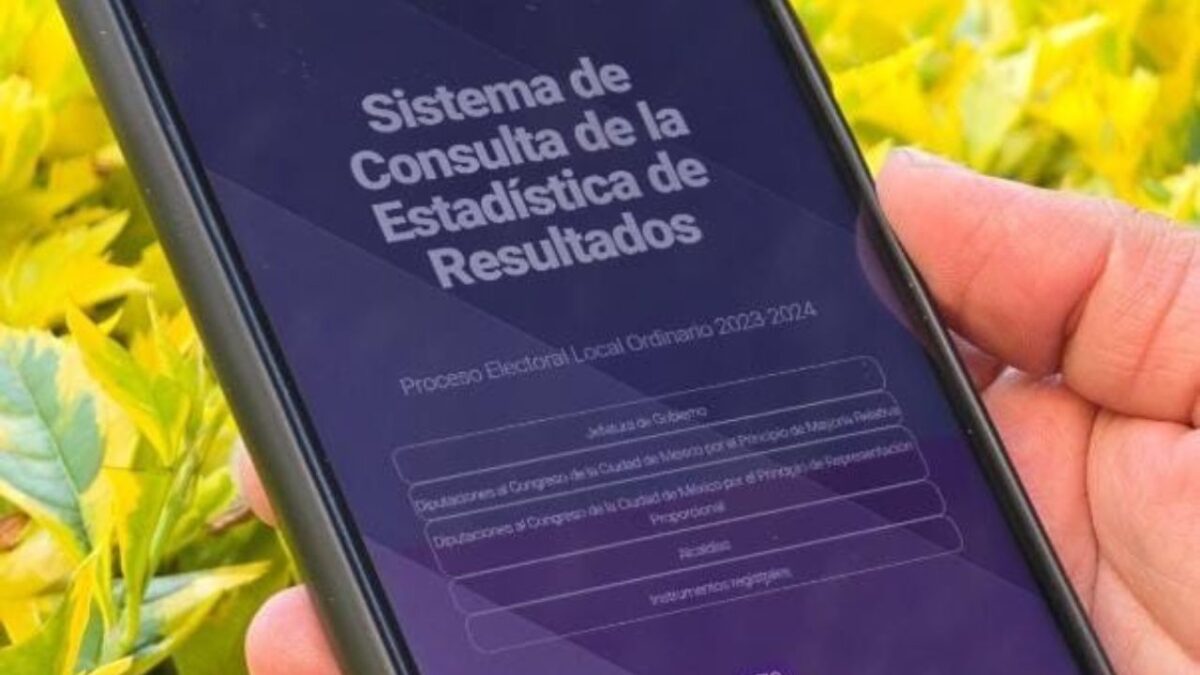 Las y los consejeros habilitaron este portal para que cualquier persona pueda consultar estadísticas desde cualquier dispositivo.