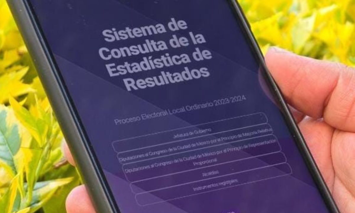 Las y los consejeros habilitaron este portal para que cualquier persona pueda consultar estadísticas desde cualquier dispositivo.