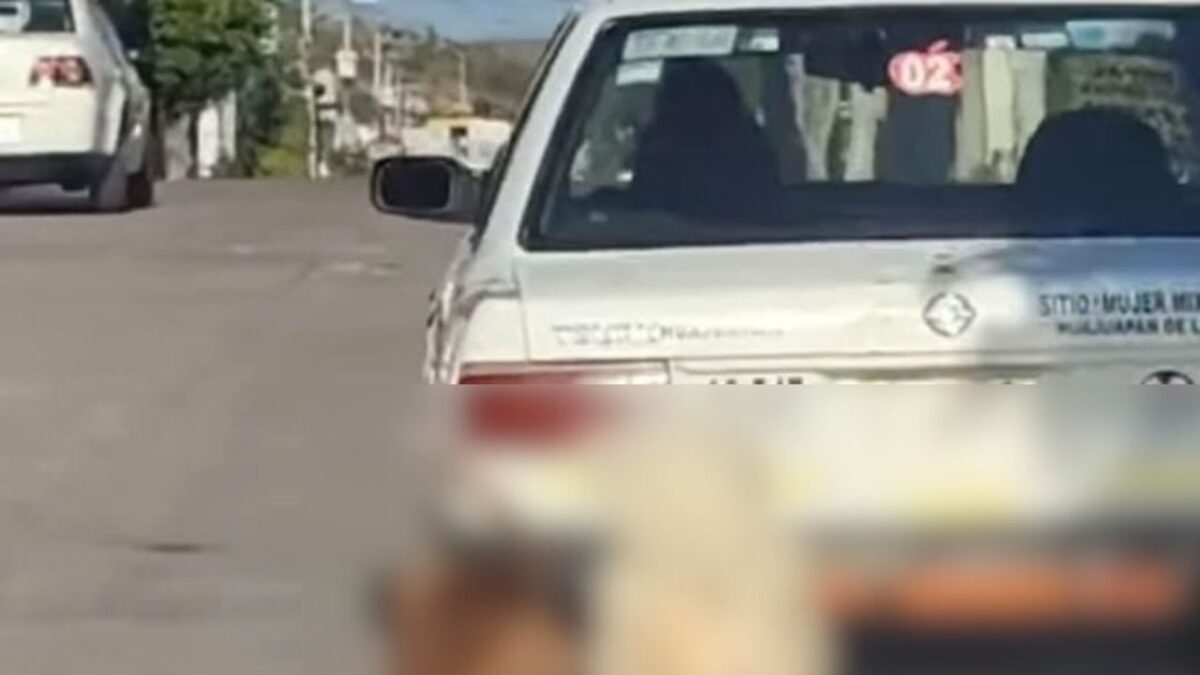 Captan en video a mujer taxista arrastrando a dos perritos en calles de Oaxaca.