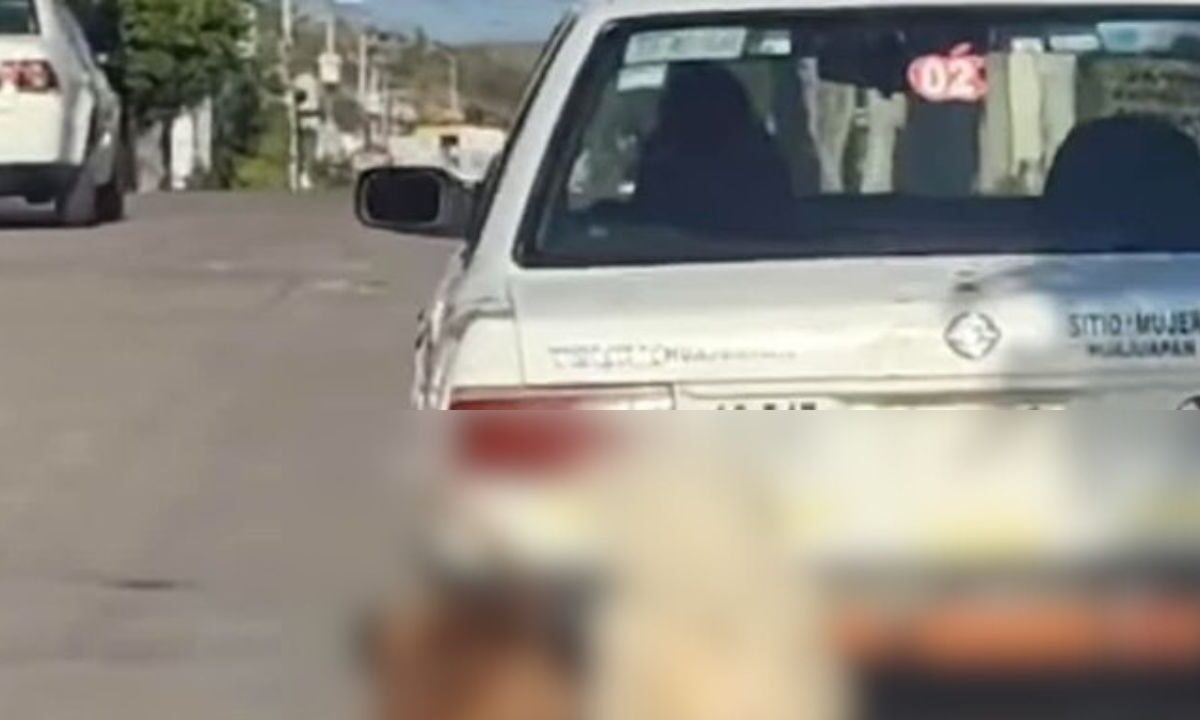 Captan en video a mujer taxista arrastrando a dos perritos en calles de Oaxaca.