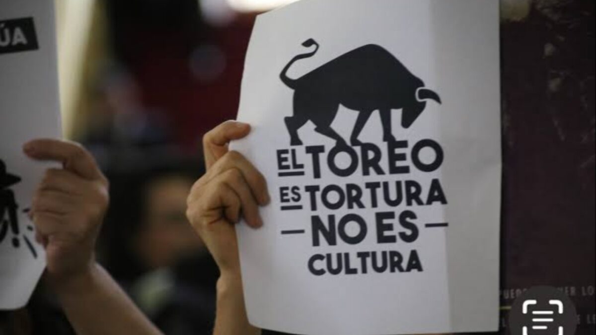 Prohibición de corridas de toros