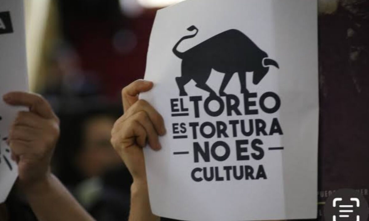 Prohibición de corridas de toros