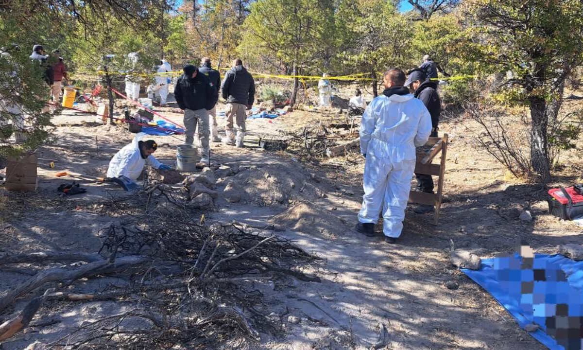 En el lugar se localizaron seis fosas clandestinas y en el interior de ellas, diez cuerpos.